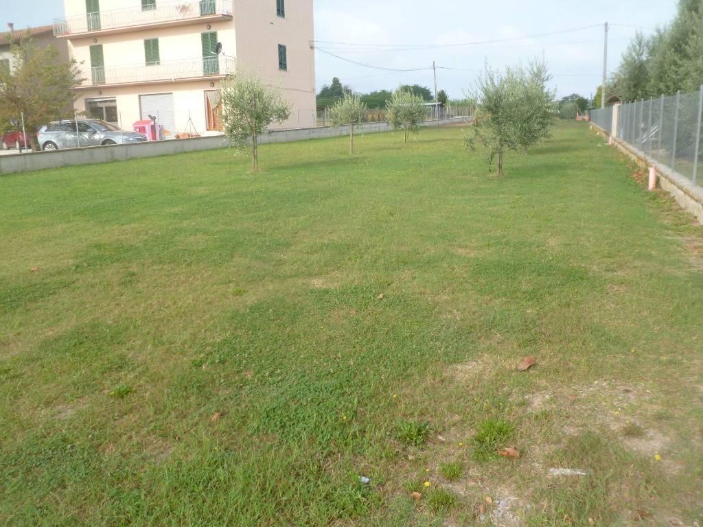 immagine annuncio 5 di 7