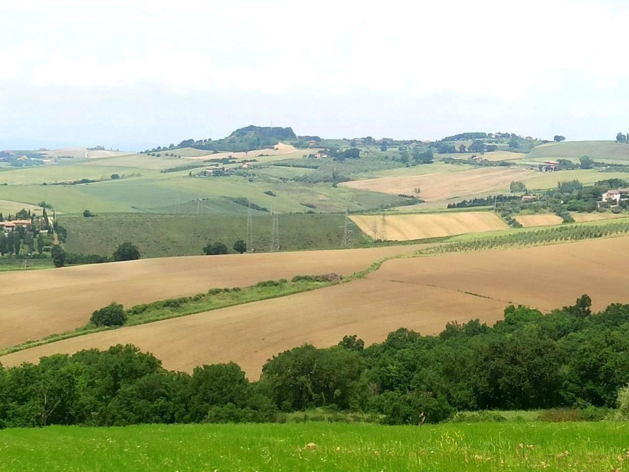 immagine annuncio 7 di 14