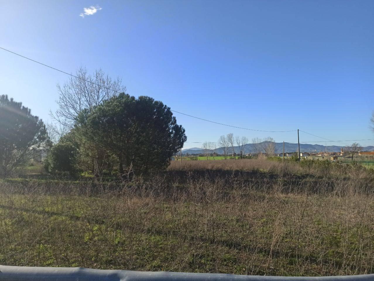 immagine annuncio 5 di 6