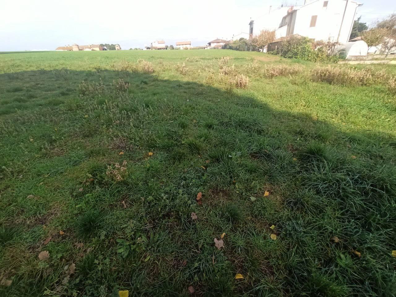 immagine annuncio 4 di 8