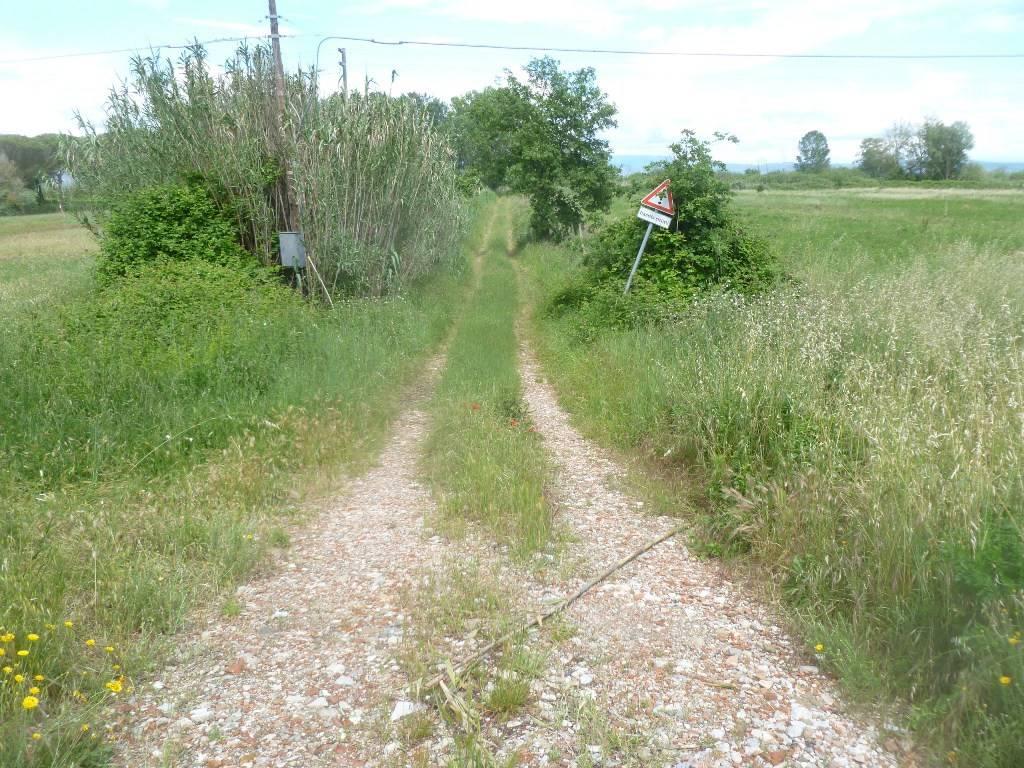immagine annuncio 3 di 6