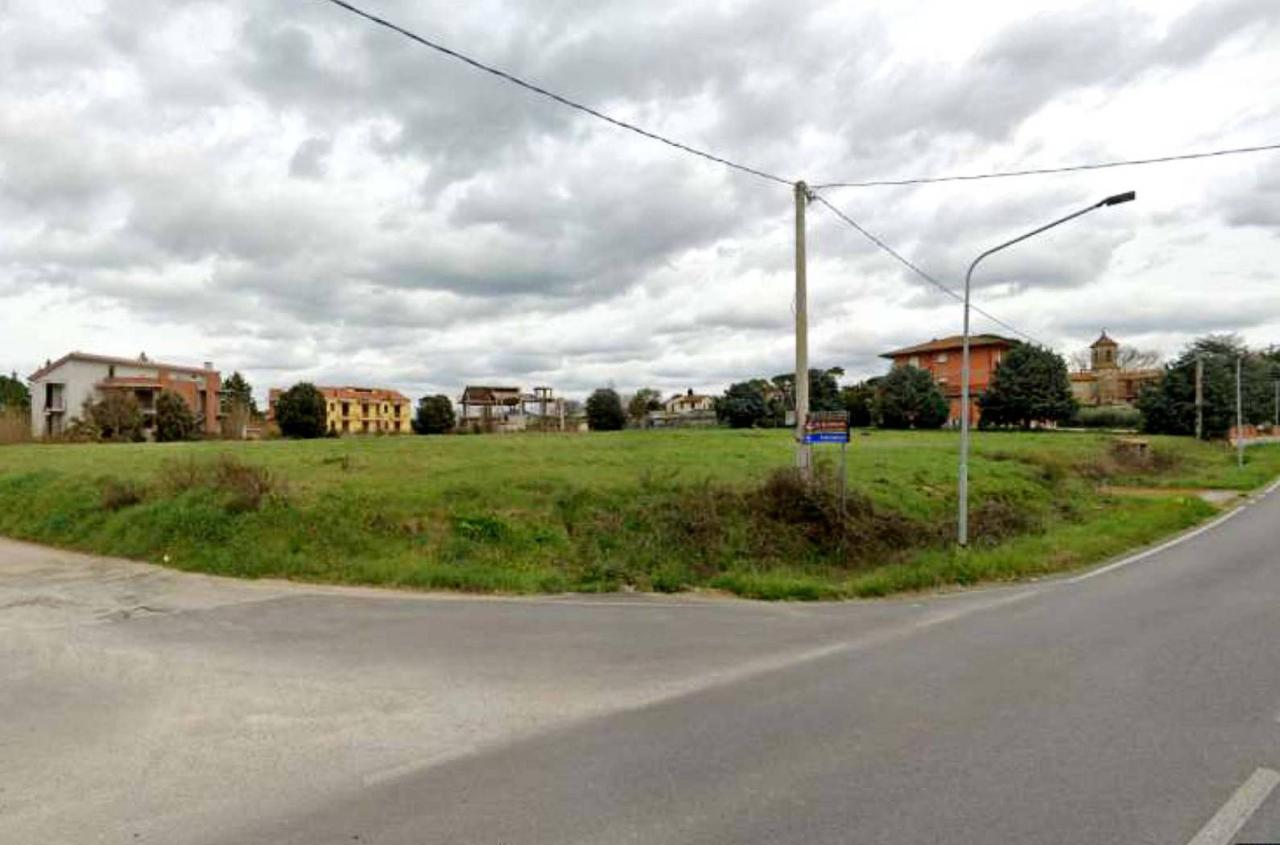 immagine annuncio 5 di 8