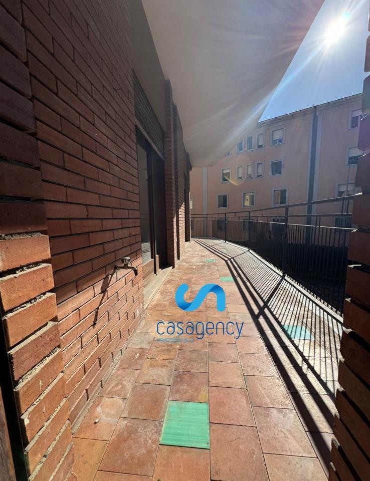 immagine annuncio 7 di 14